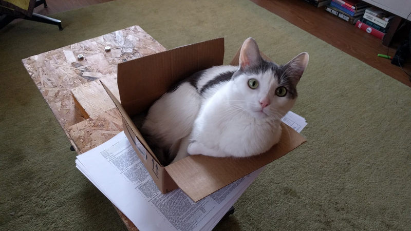 Amazon box, size A1. Verdict: 6/10
